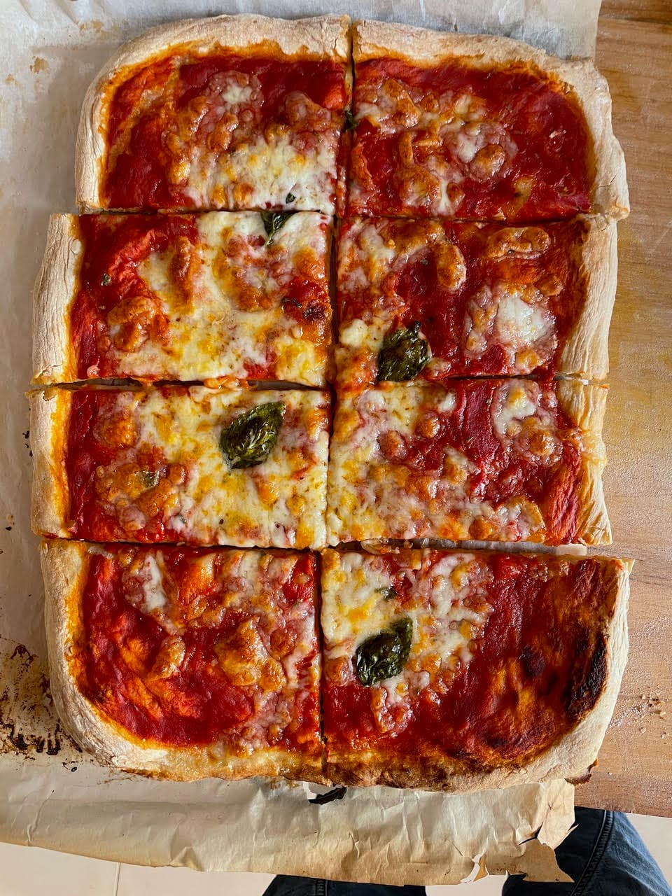 Pizza rossa al taglio with mozzarella, tomato, and basil on baking paper at a Roman bakery counter